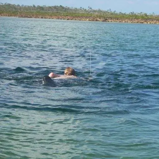 Tom Truesdale having fun