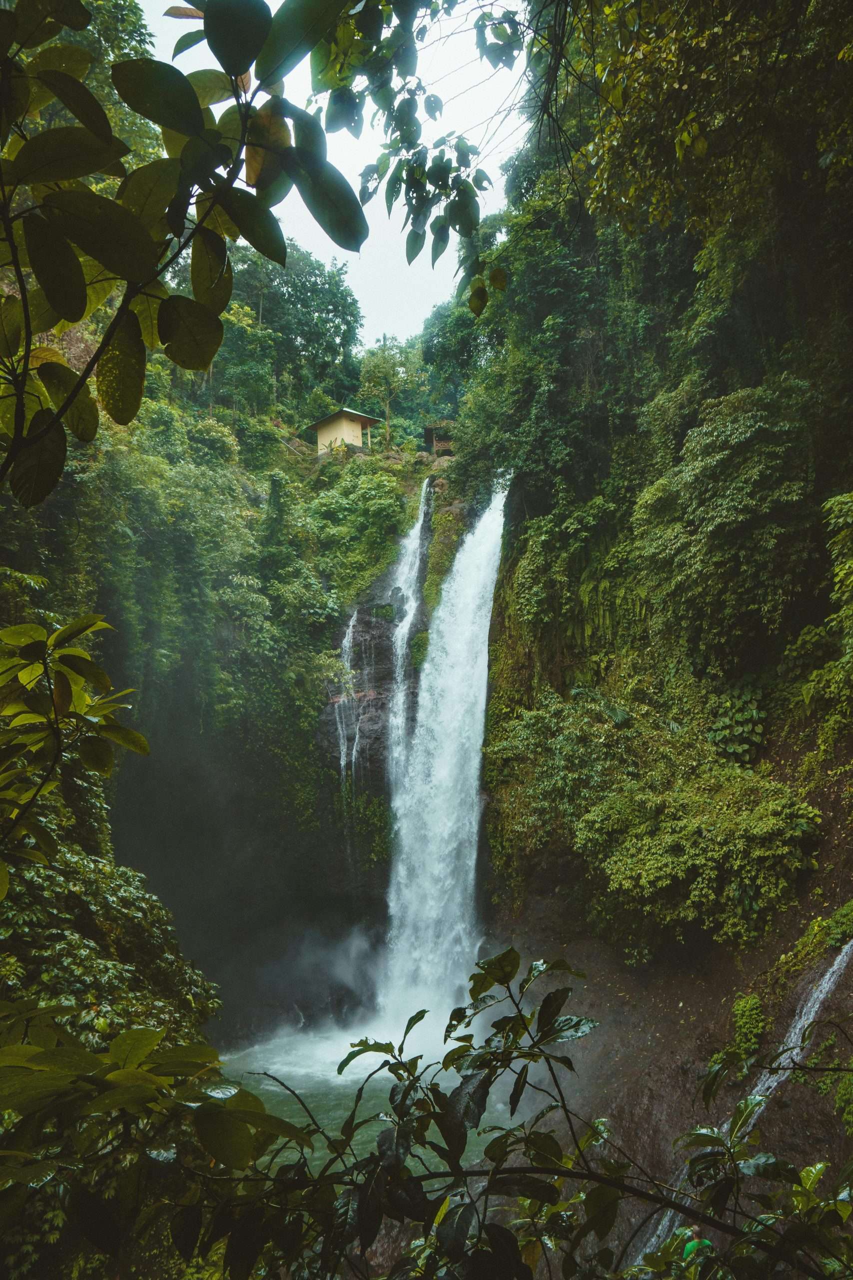 pexels-ollivves-931007 river waterfall