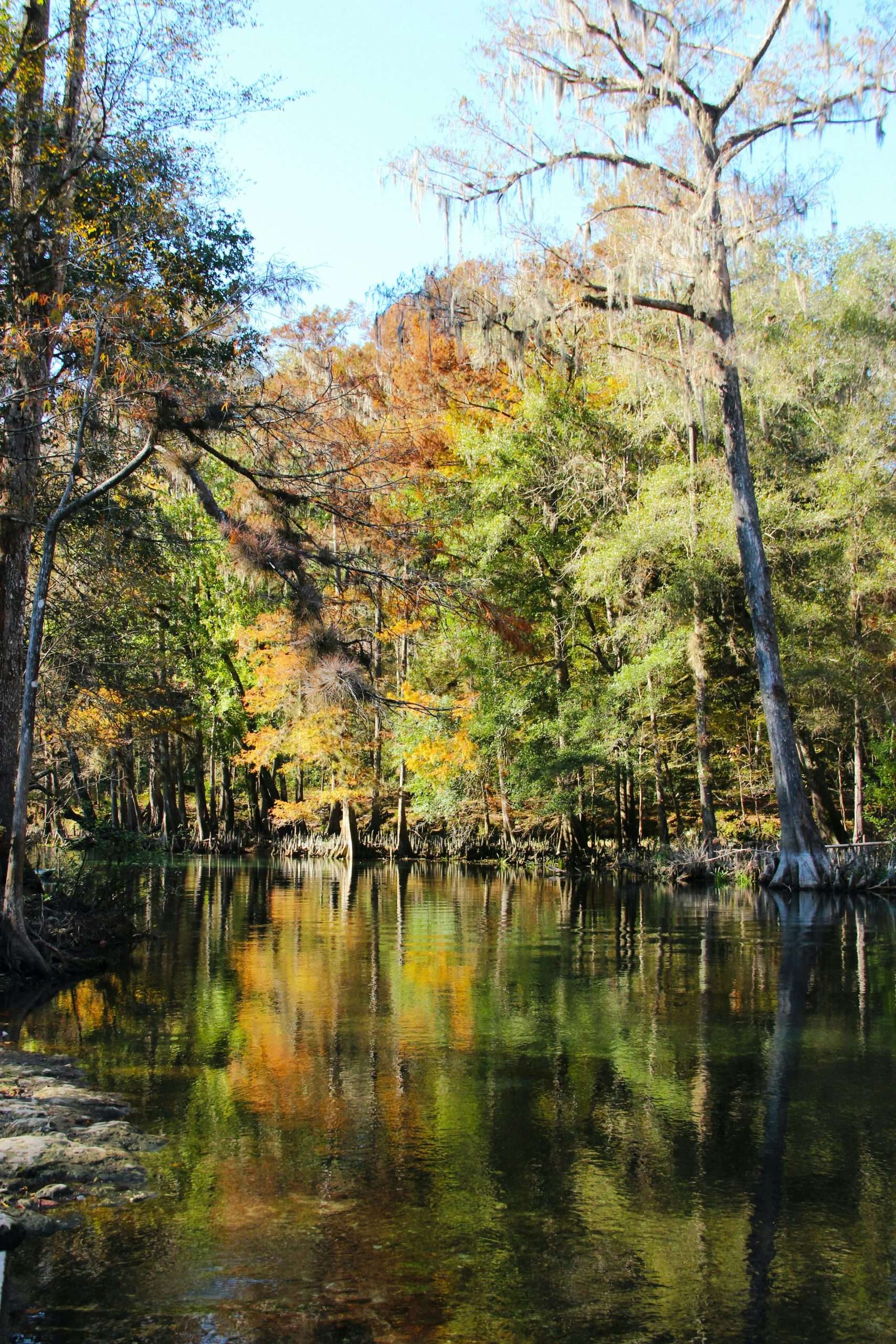 esperanza-doronila-SQl_2yCGQmI-unsplash Serene autumn forest reflecting in calm river