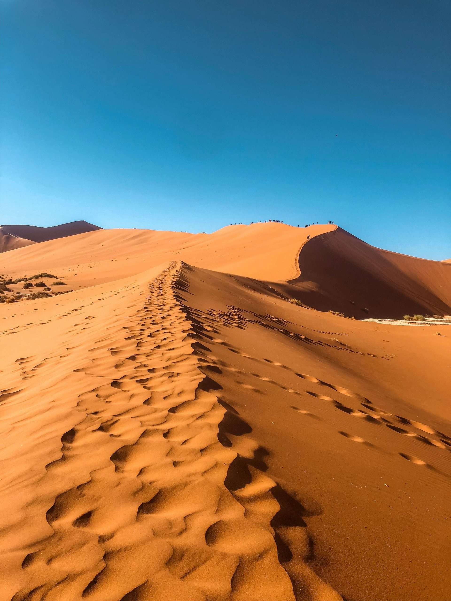 pexels-jessie-crettenden-2084198-3714898 Sunny desert sand dunes under clear blue sky