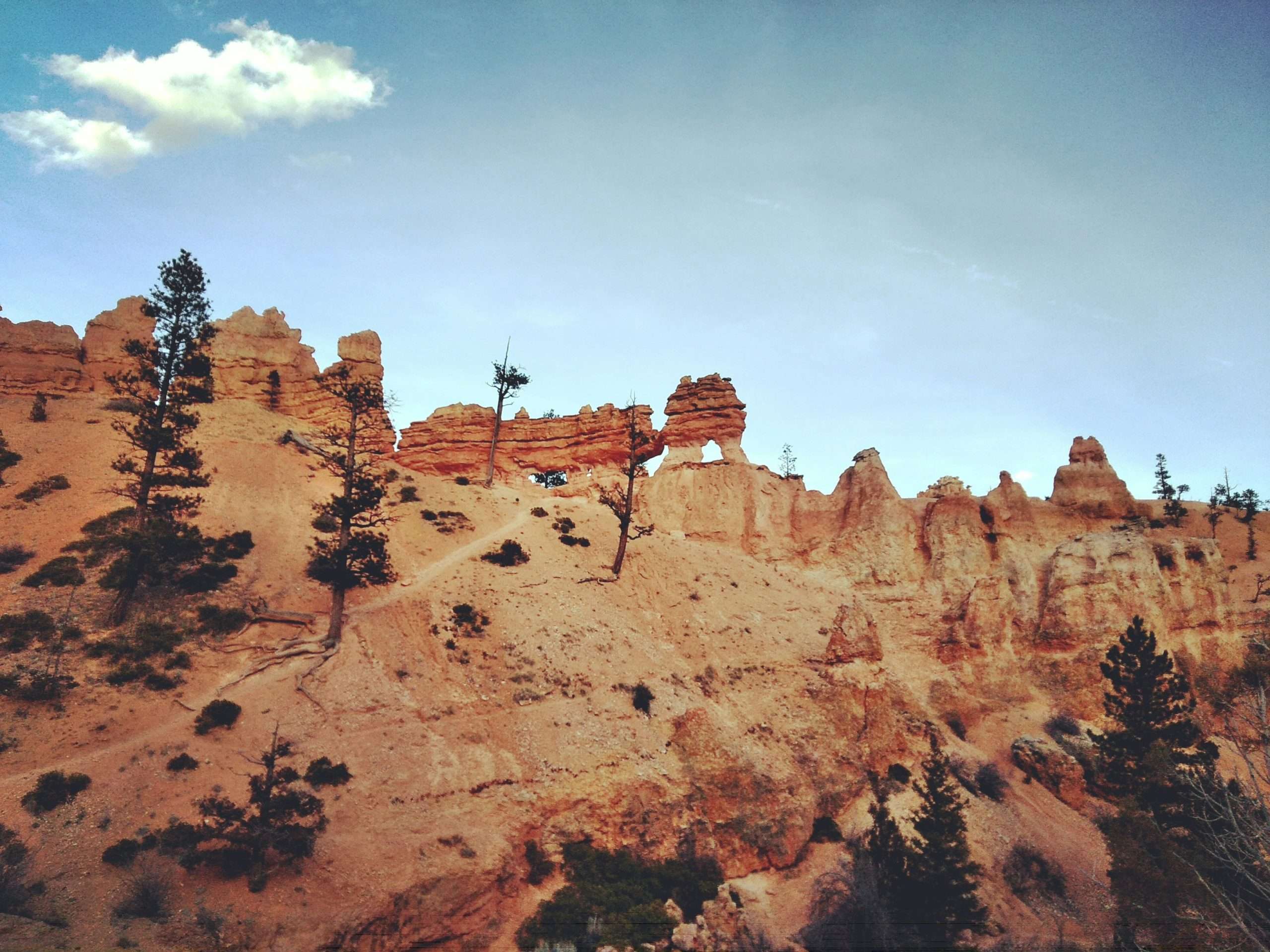 rebbecca-bird-LwMFTOULm_U-unsplash Scenic California rocky landscape with trees and clear sky.
